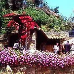 Hotel Agriturismo Golfo Dei Poeti